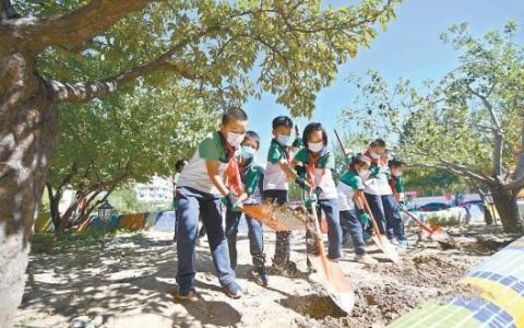 芳草地小学(芳草地小学双花园校区)